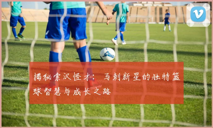 揭秘索汉怪才：马刺新星的独特篮球智慧与成长之路